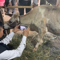 गोरखापत्र संस्थान सेवाबाट शाहको बिदाइ
