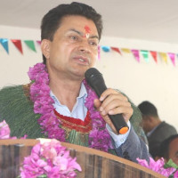 पाल्पामा ८७ प्रतिशत रोपाइँ