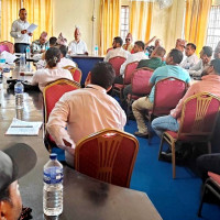 पाल्पामा ८७ प्रतिशत रोपाइँ