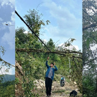 विगतका कमीकमजोरी सच्याएर गठबन्धन अगाडि बढ्नुपर्छ : नेता खनाल
