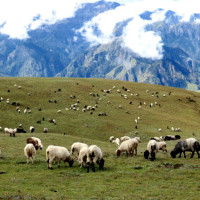 प्रदेश सरकारको विपद् व्यवस्थापनतर्फ सुधारात्मक काम
