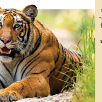 स्थानीय विकासको मार्गचित्र