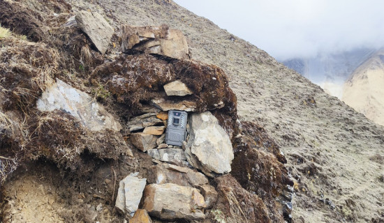 दाङको बलामपुरको घरघरमा धारा
