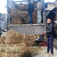 कुमारी सहकारीको रकम ठगी गर्ने  पाँच जना थुनामा