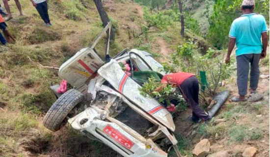 शिवनाथमा जिप दुर्घटना, चालक गम्भीर घाइते