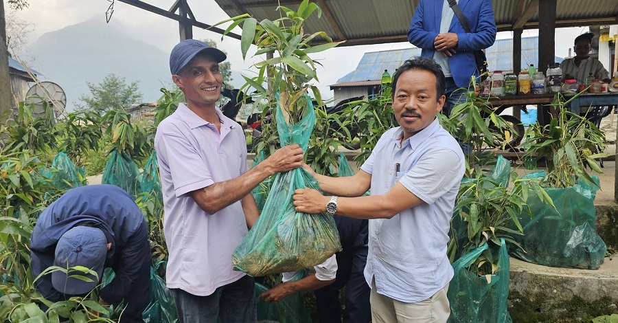 पहिरोग्रस्त क्षेत्रका बासिन्दालाई बाँसको बिरुवा वितरण