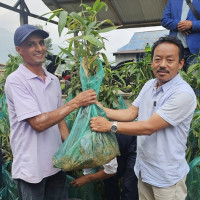 नेप्से परिसूचकमा झिनो गिरावट