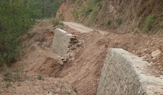 एक महिनामै भत्कियो पर्खाल