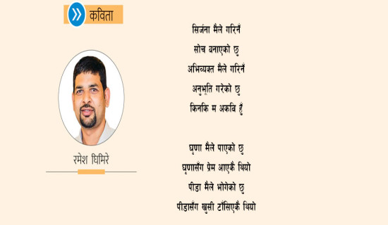 सहकारी अभियन्ताका भोगाइ