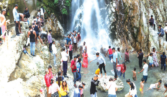 गर्मी छल्न भेडेटार