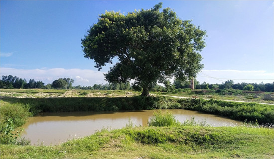कुलुङ जातिमा लोमेवा दाम