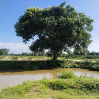 नगरप्रमुख चढ्ने गाडी अब ‘एम्बुलेन्स’