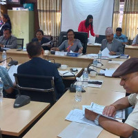 मनसुनको एक महिना, बाढीपहिरो, चट्याङबाट मानवीय क्षति बढी