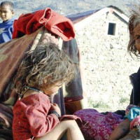 कोटिहोम रोक्न उच्च अदालतमा निवेदन दर्ता