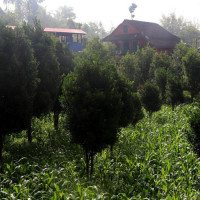 कर्णाली टिम पहिलो