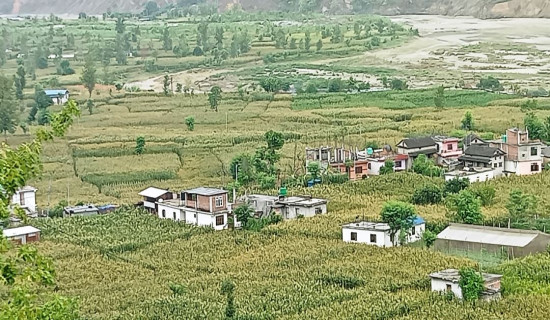 उपकुलपतिलाई धम्की