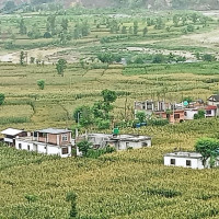 निःशुल्क शिक्षा : तिनै तहको लागतमा साझेदारी कोष बनाइने