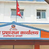 हिंसाविरुद्ध ‘उर्लंदो सय करोड’ अभियान