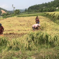 भारतीय सेनाको टोलीद्वारा कञ्चनजङ्घा आरोहण