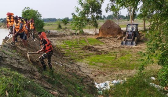 बाढीले कटान गरेपछि बाँध मर्मत