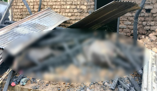 ट्रम्प अर्गनाइजेसनद्वारा भारतमा नयाँ परियोजनाको घोषणा