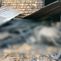 विकास, राजनीतिज्ञ र विज्ञ
