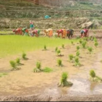 काठमाडौँ-तराई-मधेस द्रूतमार्ग : जग्गा अधिग्रहणको प्रतीक्षामा नेपाली सेना