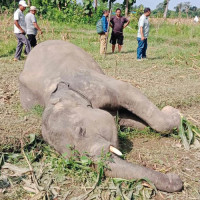 अभाव भएपछि स्वास्थ्यकर्मीले दिन्छन् रगत