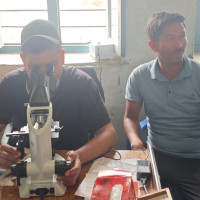 ट्रक दुर्घटनामा चालक घाइते