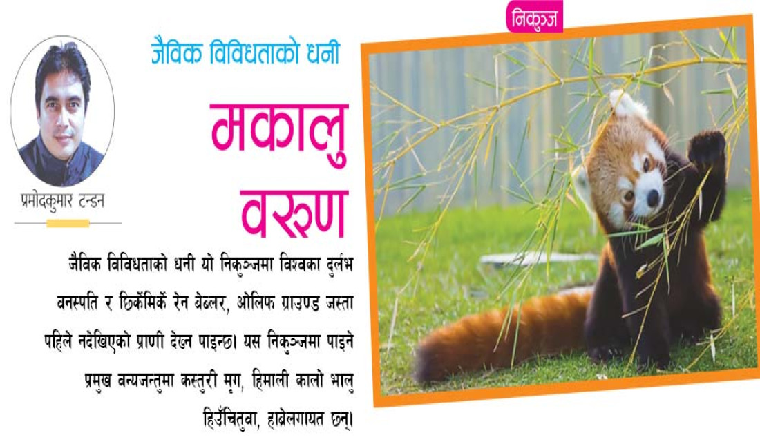 जैविक विविधताको धनी मकालु वरुण