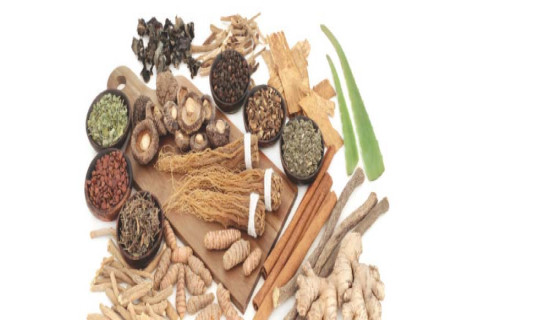 विवेकको सफलता  (कथा)