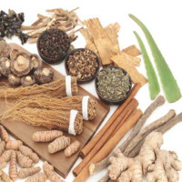 इतिहास जोगाउँदै नीलगिरि