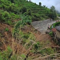 समावेशीकरणको दिशामा नयाँ फड्को : गोरखापत्रद्वारा प्रकाशित मगर भाषा