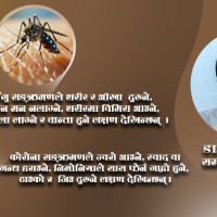 हलको विकल्प खोज्ने निश्चलको चेतावनी