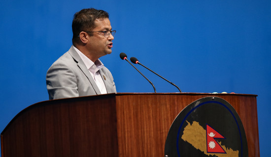 अनुशासनको सीमाभित्र रहेर बजेट आएको छ : सांसद गिरी