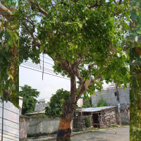 शिक्षाको गुणस्तरमा ध्यान केन्द्रित गरौं : मन्त्री भट्टराई