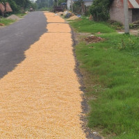 मदन भण्डारी स्मृति प्रतिष्ठानको प्रगति अविस्मरणीय : सभामुख