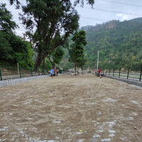 नेपाललाई वेस्ट इन्डिजले दियो २१० रनको लक्ष्य