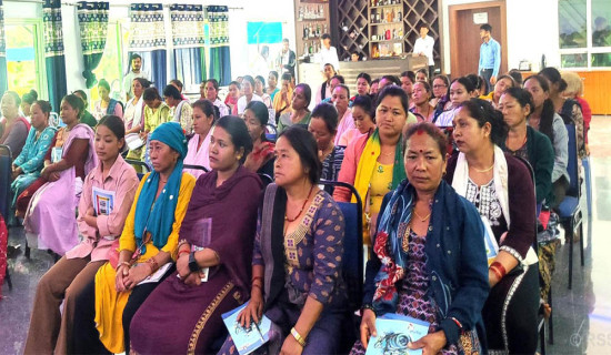 बदर मत कम गर्न नमुना मतदान