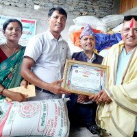 रासायनिक मलको अभाव झेल्दै पोखरेली किसान