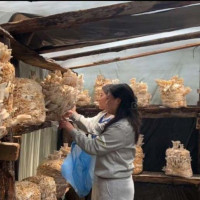 अलैँची उत्पादनमा वृद्धि, एकै वर्षमा छ करोडको कारोबार