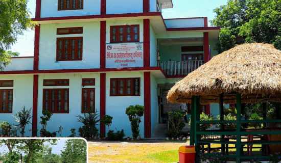 वनले रोक्यो करोडौँको काठ लिलाम