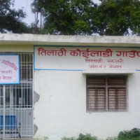 पर्सामा ९० प्रतिशत रोपाइँ सकियो