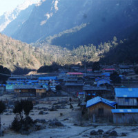 ताप्लेजुङका तीन वटा गाउँपालिकाबिच सहकार्य हुने
