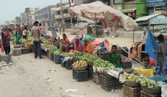‘लहानको आँप ब्राण्डिङ गरिएन’