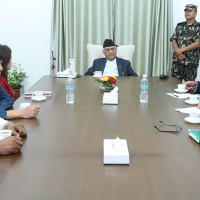 वनले रोक्यो करोडौँको काठ लिलाम