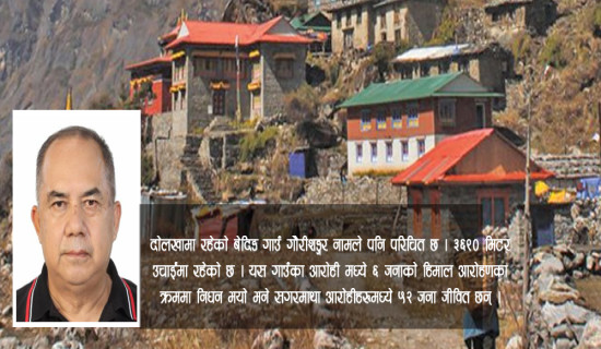बाढीले निर्माणाधीन पक्की पुलमा क्षति