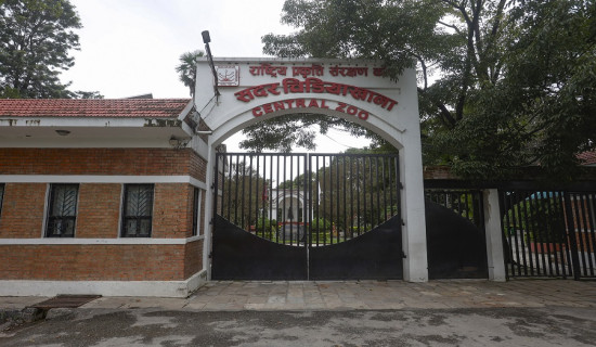 चिडियाखानामा सन्ध्याकालीन सेवा सुरु भएपछि बढे पर्यटक