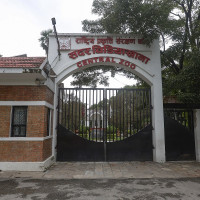 ऐतिहासिक तेस्रो सुपर ओभरमा नेपाल नेदरल्यान्ड्ससँग स्तब्ध