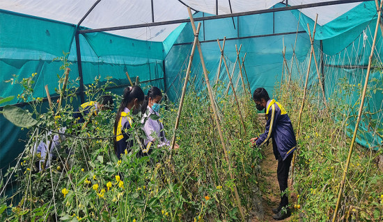 आन्दोलनरत  शिक्षकलाई वार्ताका लागि आह्वान